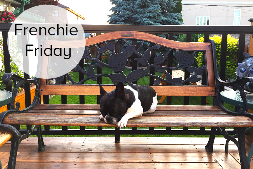 Frenchie Friday: Evenings with Buffy